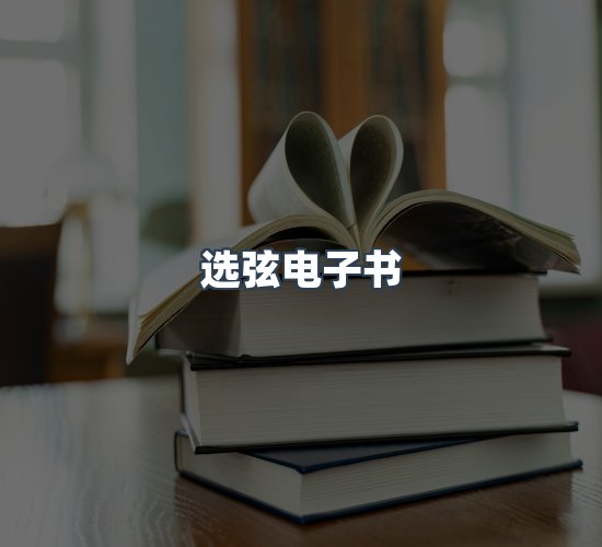 关于选弦电子书